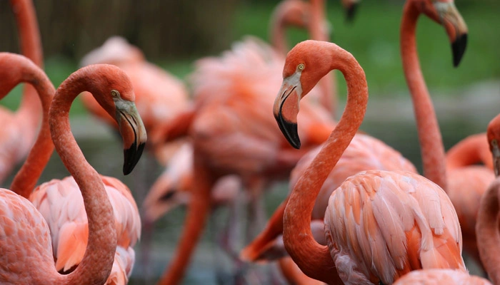 lake manyara day trip gal1