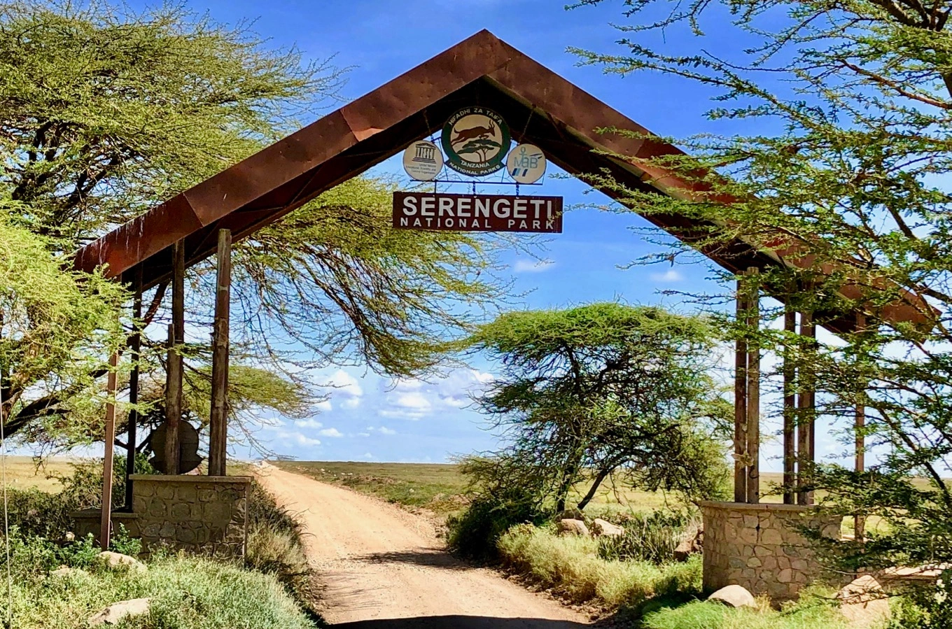 we discover the endless vastness of the serengeti national park 09